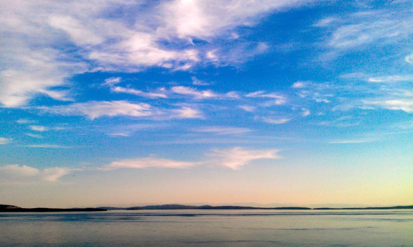 Occasionally Your Phone Takes a Decent Image