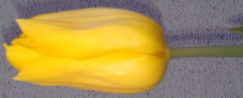 It's Tough To Figure It Ouit