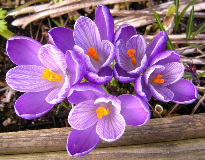 Here They Come Again