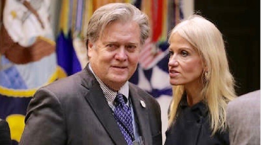 Chicago Tribune Image Grab